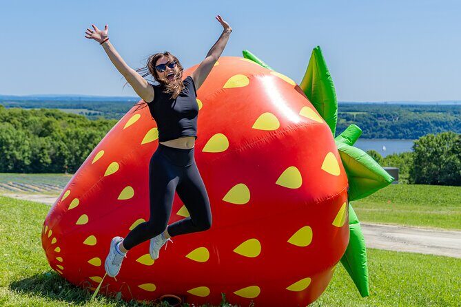 Quebec City - Agricultural Walking Tour on Ile d'Orléans - A Detailed Look at the Experience
