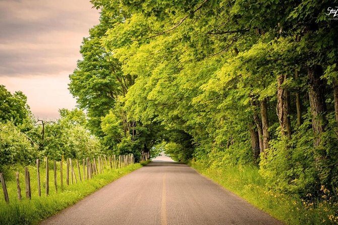 Quebec City - Electric Bike Rental on Ile d'Orléans - The Downsides and Considerations