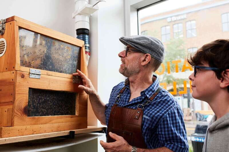 Quebec City: Honey and Distillery Tour with Tasting - The Indoor Hive Experience