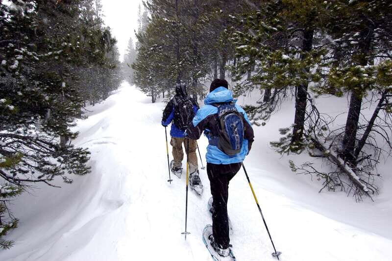 Quebec City: Jacques-Cartier National Park Snowshoeing Tour - What’s Included and Why It Matters
