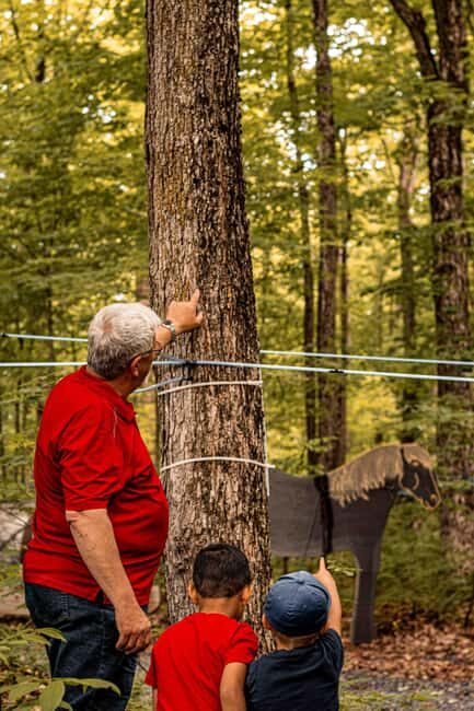 Quebec City (Lévis): self-guided sugar shack tour + meal + maple taffy - How the Tour Works