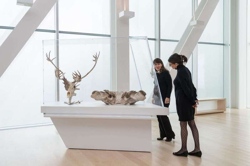 Quebec City: MNBAQ National Fine Arts Museum Entry Ticket - What You Can Expect at the MNBAQ