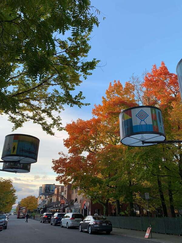 Quebec City: Montcalm & St-Jean Baptiste Walking Tour (2,5h) - Is It Worth the Cost?