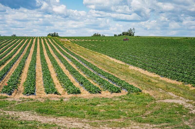 Quebec City: Montmorency Falls & Ile d'Orleans Half-Day Tour - Final Thoughts