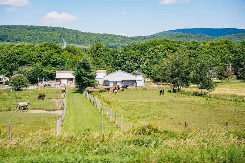 Quebec City: Montmorency Falls & Ile d'Orleans Half-Day Tour - Chocolate and hot drinks on the island: small stop, big payoff