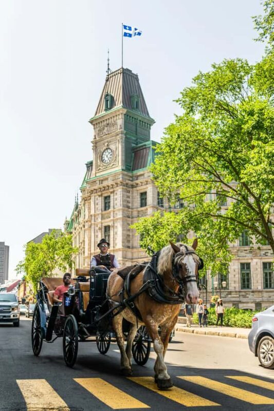 Québec City: Private City Tour - What to Expect from the Tour