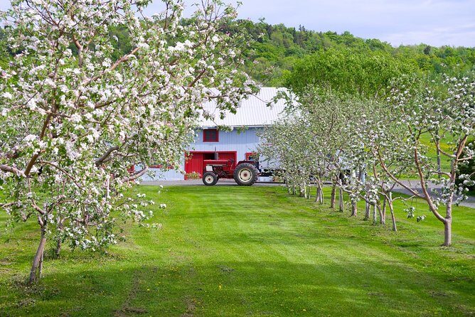 Quebec City - Regular Bike Rental on Ile d'Orléans - Practical Tips for Your Ride