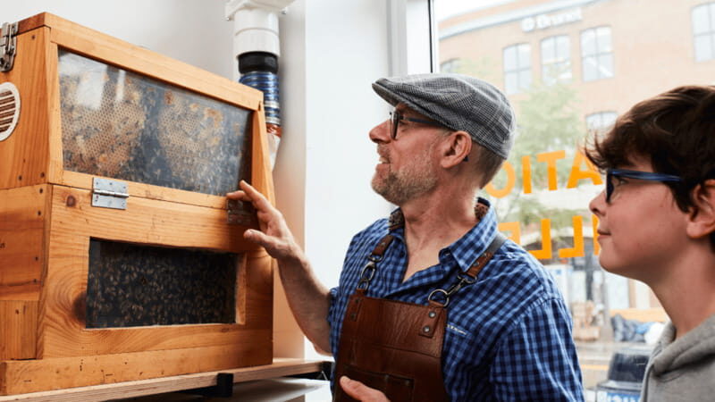 Quebecois Aperitif Food Tour in Quebec City - Who Is This Tour Best For?