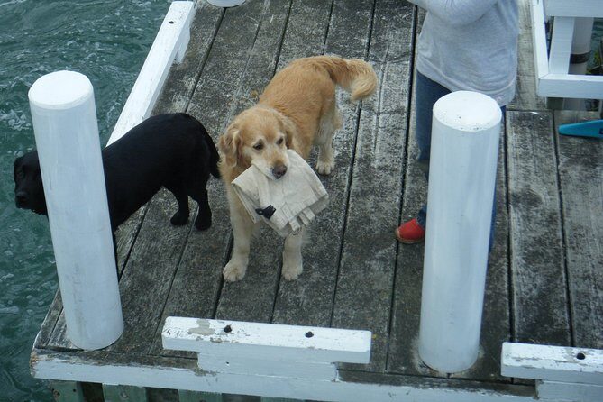 Queen Charlotte Sound Mail Boat Cruise - Pricing and Value