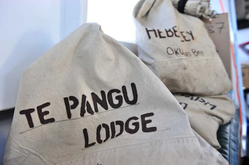 Queen Charlotte Sound Mail Boat Cruise from Picton - What Makes This Tour Special