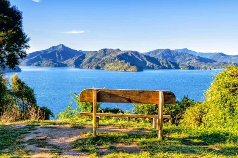 Queen Charlotte Track: Cruise & Self-Guided Hike from Picton - A Detailed Look at the Queen Charlotte Track Experience