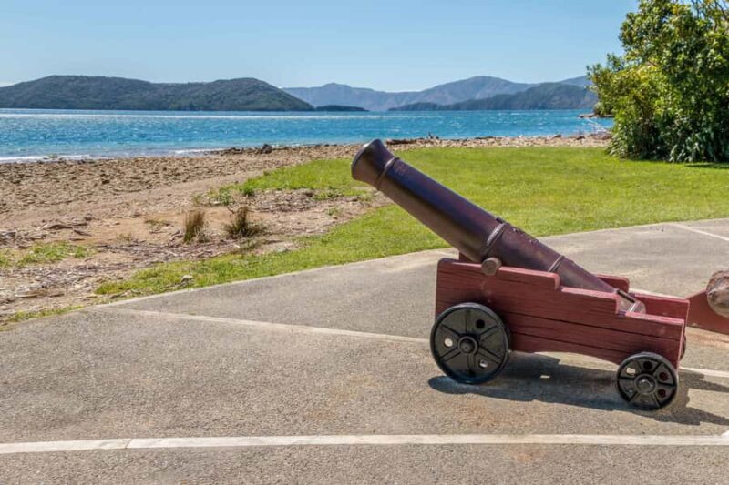 Queen Charlotte Track: Cruise & Self-Guided Hike from Picton - Who Is This Tour Best For?