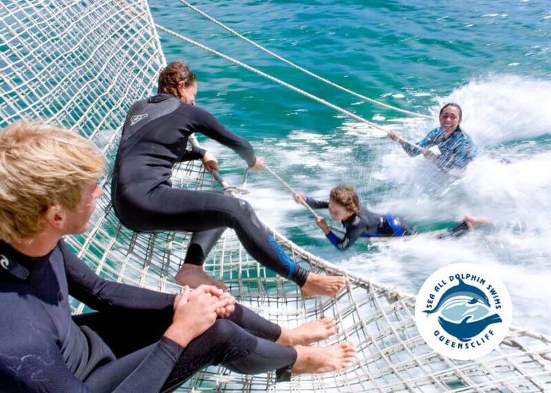 Queenscliff Harbour: 3.5hr Seal & Dolphin Snorkelling Tour - Final Thoughts