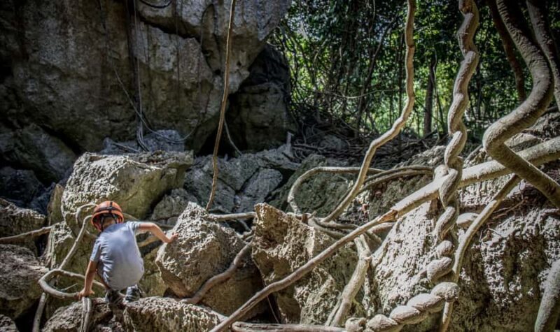 Queensland: 90 Minute Capricorn Caves Explorer Tour - Exploring Hidden Secrets and Spectacular Locations