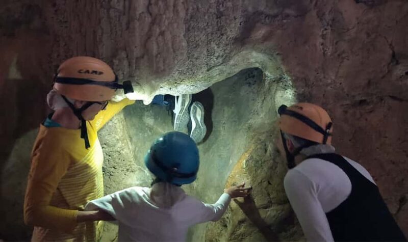 Queensland: 90 Minute Capricorn Caves Explorer Tour - Wildlife and Nature Encounters