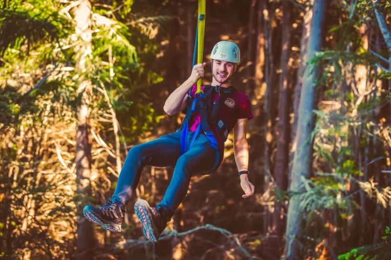 Queenstown: 2-Hour Zipline Tour with 4-Lines - What You Can Expect From the Tour