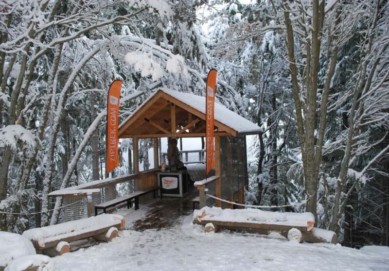 Queenstown: 2-Hour Zipline Tour with 4-Lines - Guides, Safety, and Overall Experience