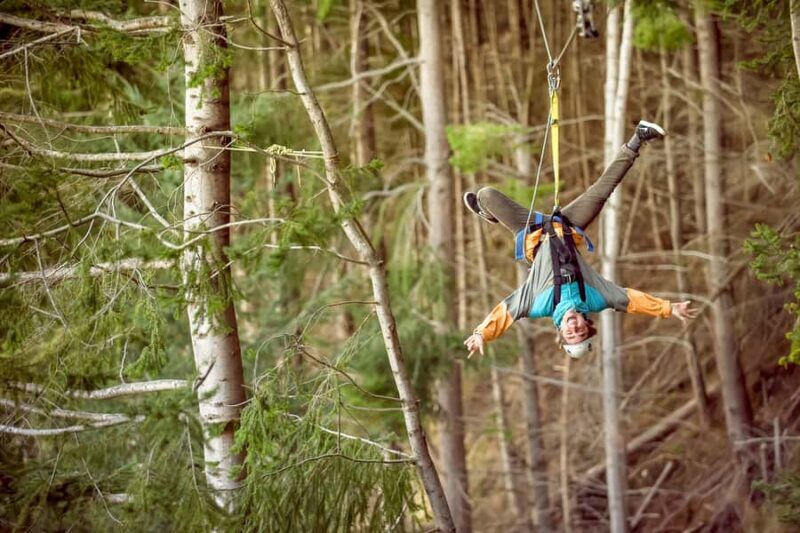 Queenstown: 3-Hour Zipline Adventure with 6-Lines - Final Thoughts: Who Will Love This Tour?