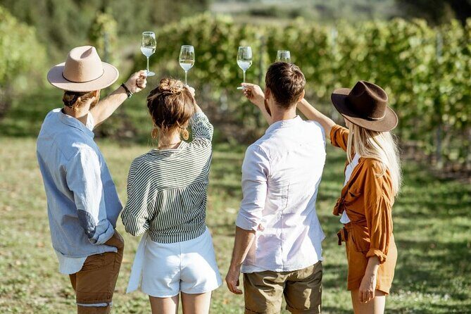 Queenstown Afternoon Wine Tour - Peregrine | Kinross | Amisfield - Key Points