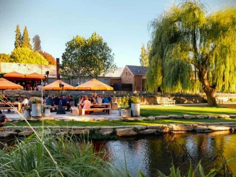 Queenstown, Arrowtown, Gibbston: Flexible Wine Hopper Tours - The Sum Up