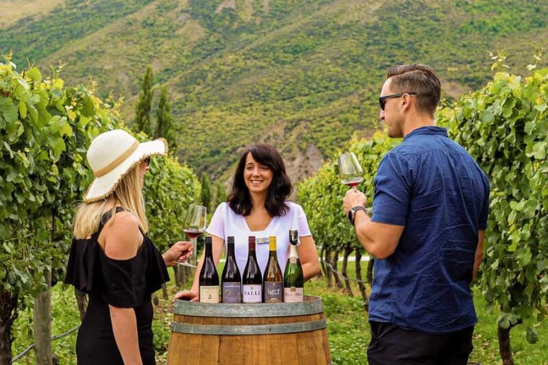 Queenstown: Classic Wine Tour - The Itinerary in Detail