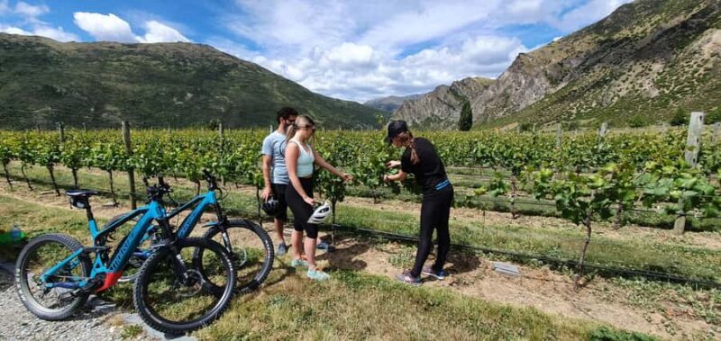 Queenstown: Guided E-Bike Tour with Winery Visits & Tastings - Key Points