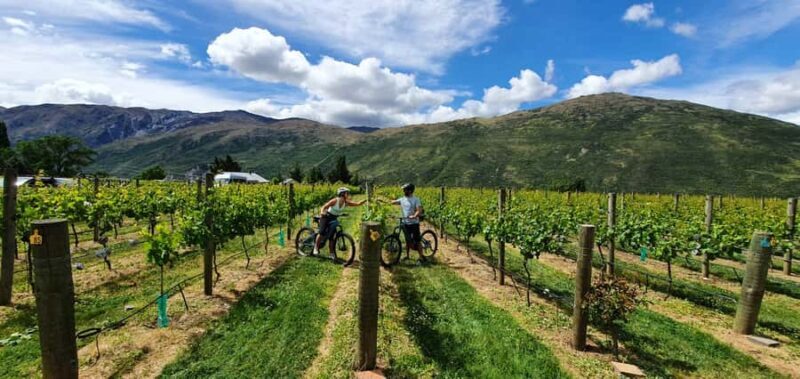 Queenstown: Guided E-Bike Tour with Winery Visits & Tastings - The Experience on the Ground