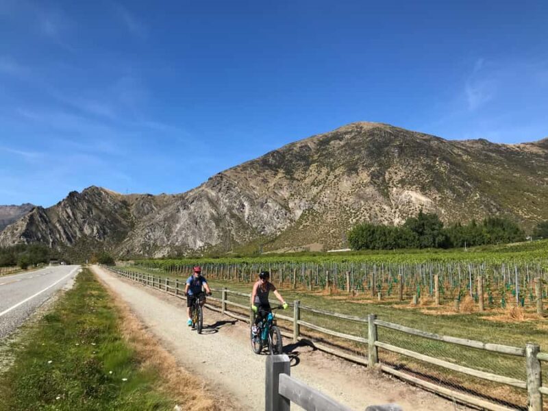 Queenstown: Guided E-Bike Tour with Winery Visits & Tastings - Who Is This Tour Best For?