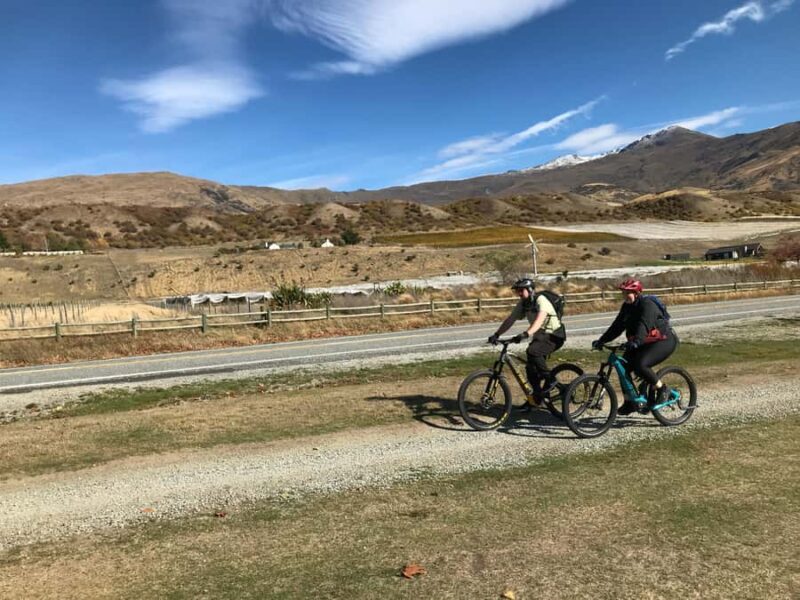 Queenstown: Guided E-Bike Tour with Winery Visits & Tastings - The Sum Up