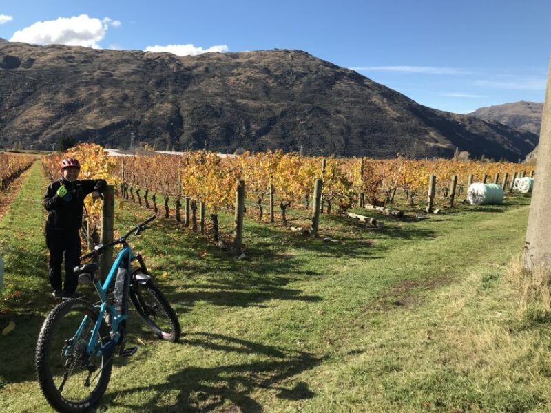Queenstown: Guided E-Bike Tour with Winery Visits & Tastings - FAQs