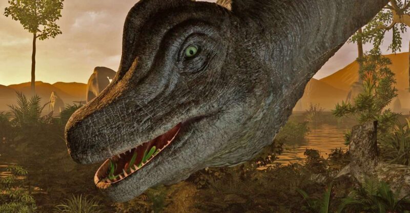 Queenstown: Hidden Underwater Theatre Experience - Final Thoughts