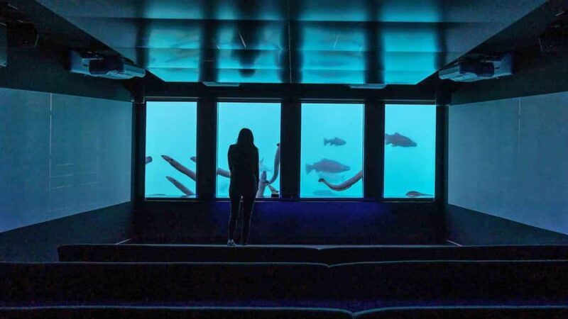 Queenstown: Hidden Underwater Theatre Experience - FAQ