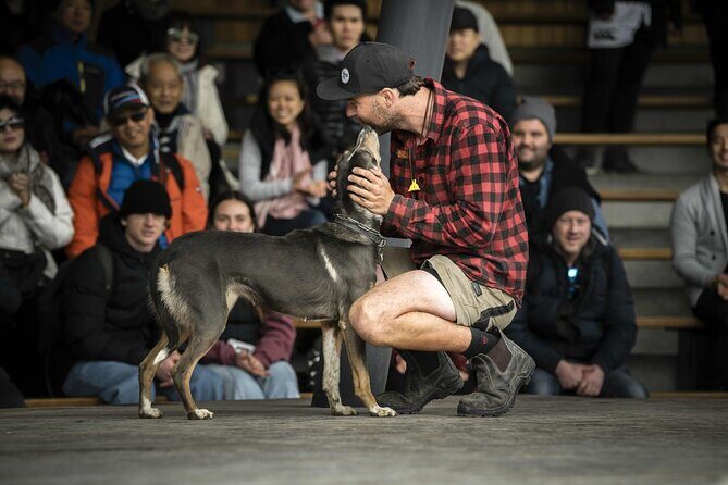 Queenstown Lake Cruise and Walter Peak Farm Adventure - Final Thoughts