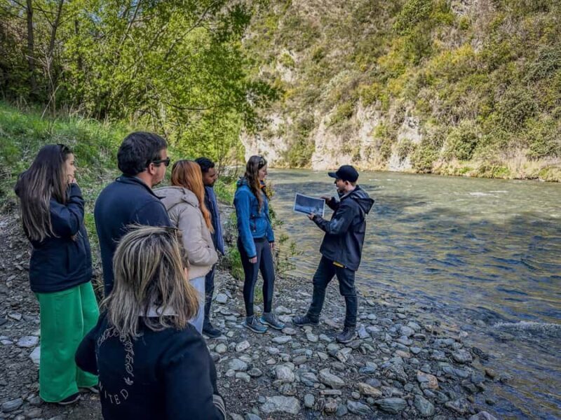 Queenstown: Lord of the Rings Locations Half-Day Tour - What the Reviews Tell Us