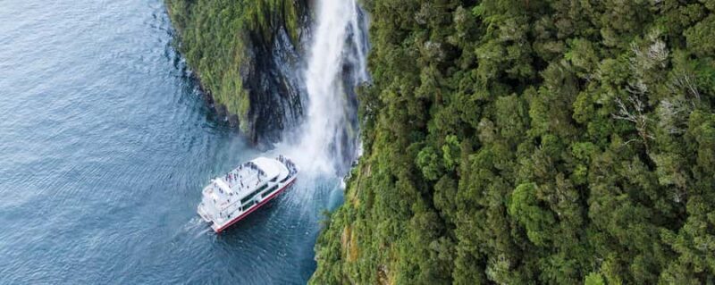 Queenstown: Milford Sound Cruise & Helicopter Alpine Tour - How the Tour Benefits You