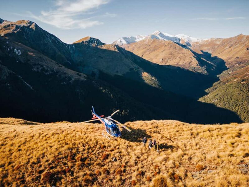 Queenstown: Pilot's Choice Helicopter Tour & Alpine Landing - Key Points
