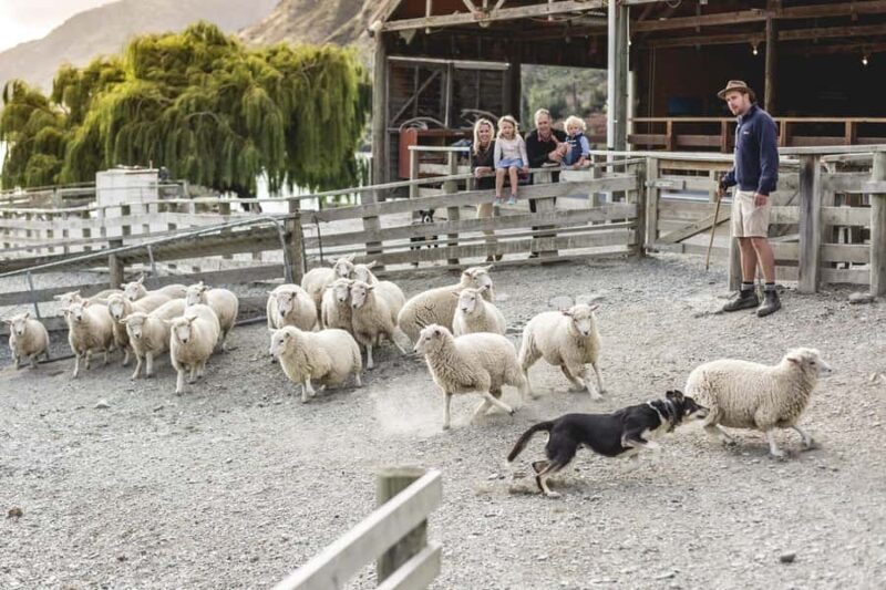 Queenstown: Queenstown Lake Cruise and Walter Peak Farm Tour - Final Thoughts