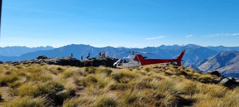 Queenstown: Scenic Alpine Heli-Flight - What to Expect from Your Queenstown Heli-Flight Adventure