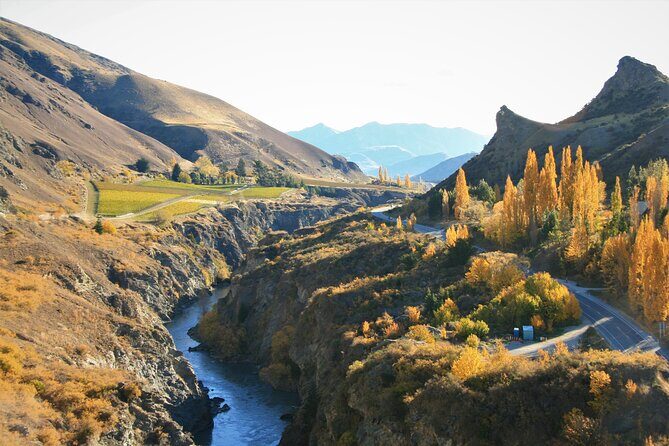 Queenstown Sightseeing Tour: Highlights of Queenstown - Authentic Feedback from Travelers