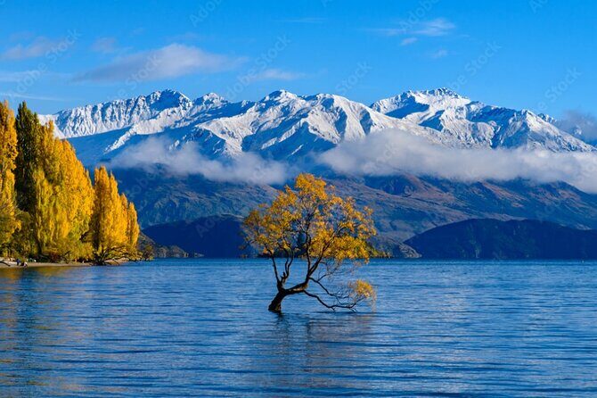 Queenstown to Franz Josef via Wanaka Small Group Day Tour (1-Way) - FAQ
