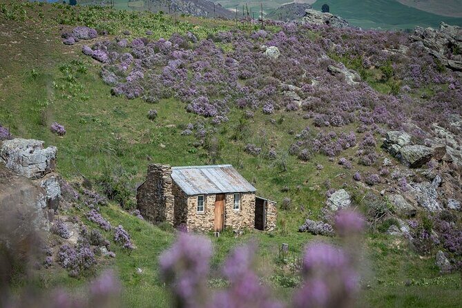 Queenstown to Middlemarch via Cromwell Small-Group Tour (One-Way) - Who Is This Tour Best Suited For?