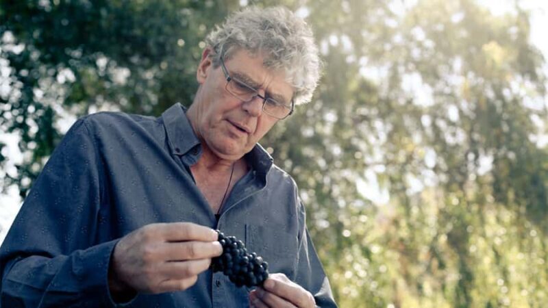 Queenstown: Valli Wine Tasting Experience - Queenstown: Valli Wine Tasting Experience — A Down-to-Earth Look for Wine Lovers