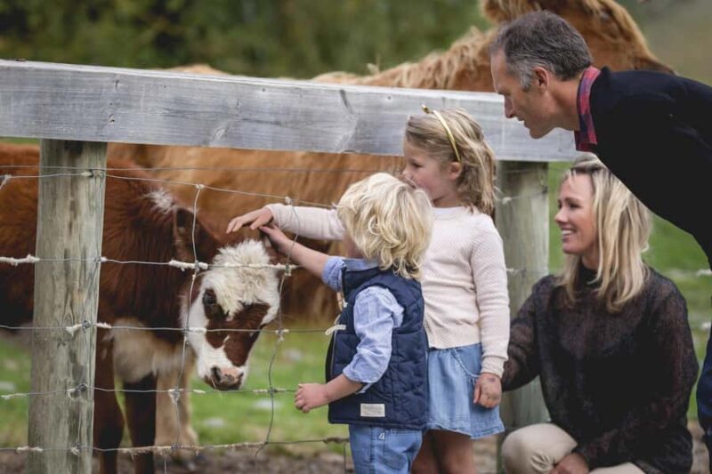 Queenstown: Walter Peak Farm Tour and Lake Cruise - What the Experience Looks Like