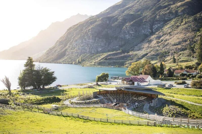 Queenstown: Walter Peak Farm Tour and Lake Cruise - Who Should Consider This Tour?