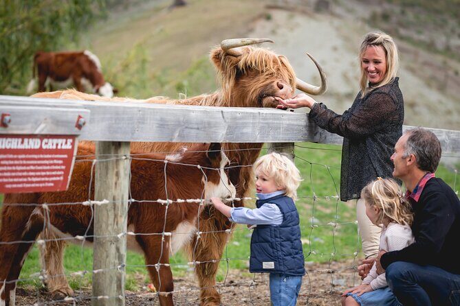 Queenstown: Walter Peak Farm Tour and Lake Cruise - Queenstown: Walter Peak Farm Tour and Lake Cruise – A Practical, Authentic Experience