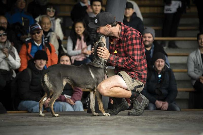Queenstown: Walter Peak Gourmet BBQ & Lake Whakatipu Cruise - Gardens, animals, and the short walk you’ll be glad you take