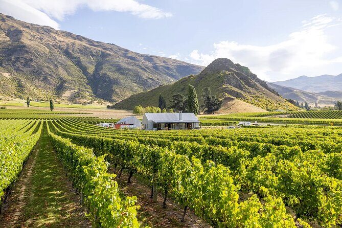 Queenstown Wine & Food Tour: Scenery, Tastings & Delicious Lunch! - The Practical Side: Transport, Duration, and Pricing