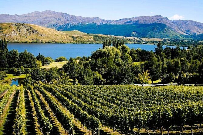 Queenstown Wine Tour - Final Thoughts: Is It Right for You?