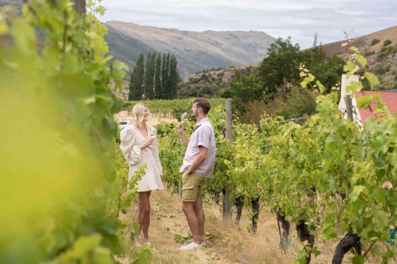 Queenstown's Original Wine Tour Celebrating 33 Years - Key Points