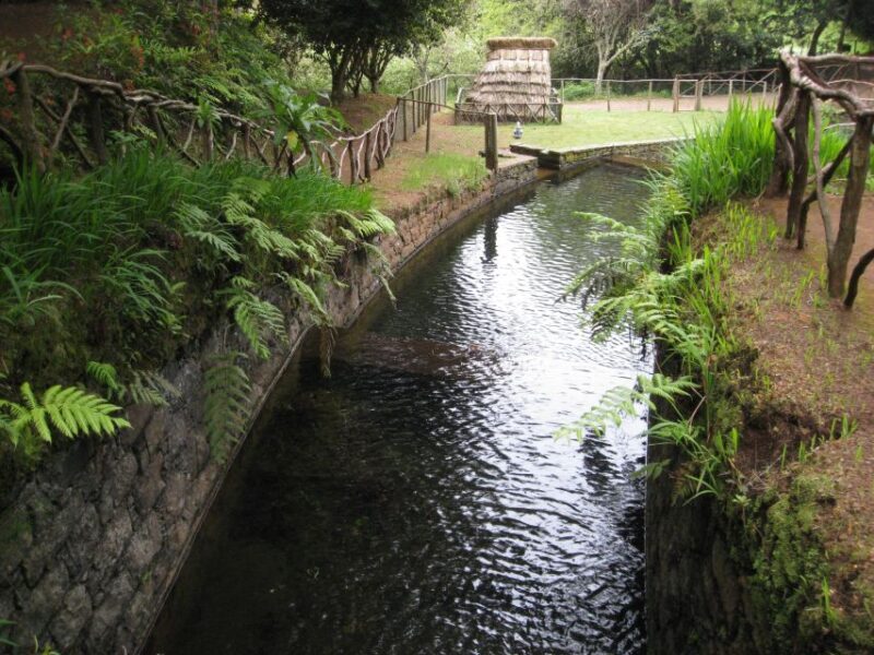Queimadas Caldeirao Verde Full day hike - What Makes This Tour Special?